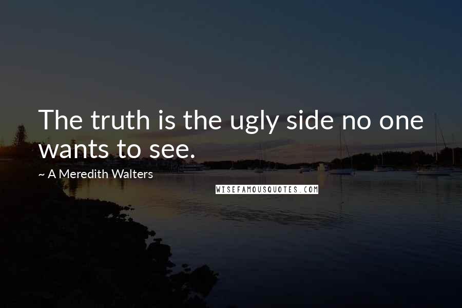 A Meredith Walters Quotes: The truth is the ugly side no one wants to see.