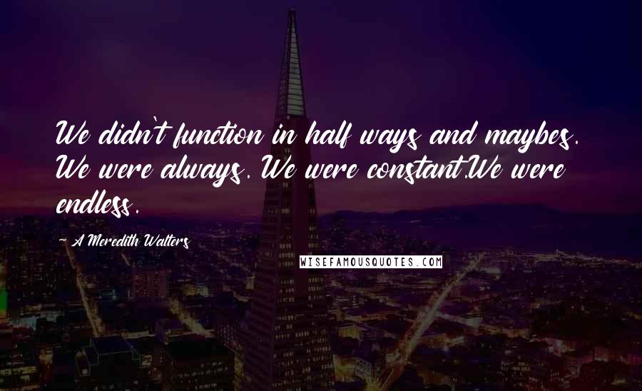 A Meredith Walters Quotes: We didn't function in half ways and maybes. We were always. We were constant.We were endless.