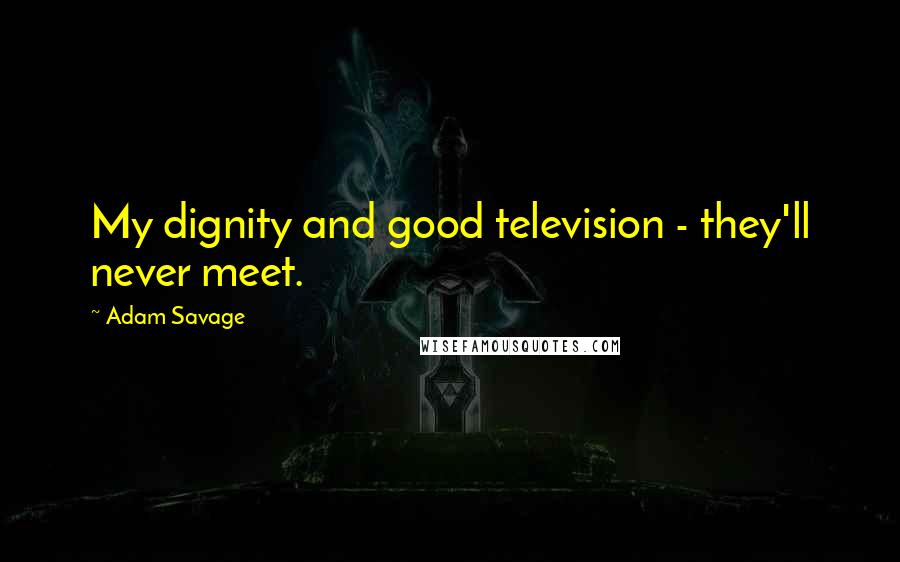 Adam Savage Quotes: My dignity and good television - they'll never meet.