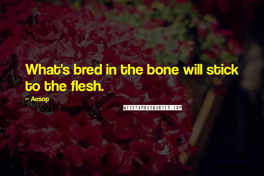 Aesop Quotes: What's bred in the bone will stick to the flesh.