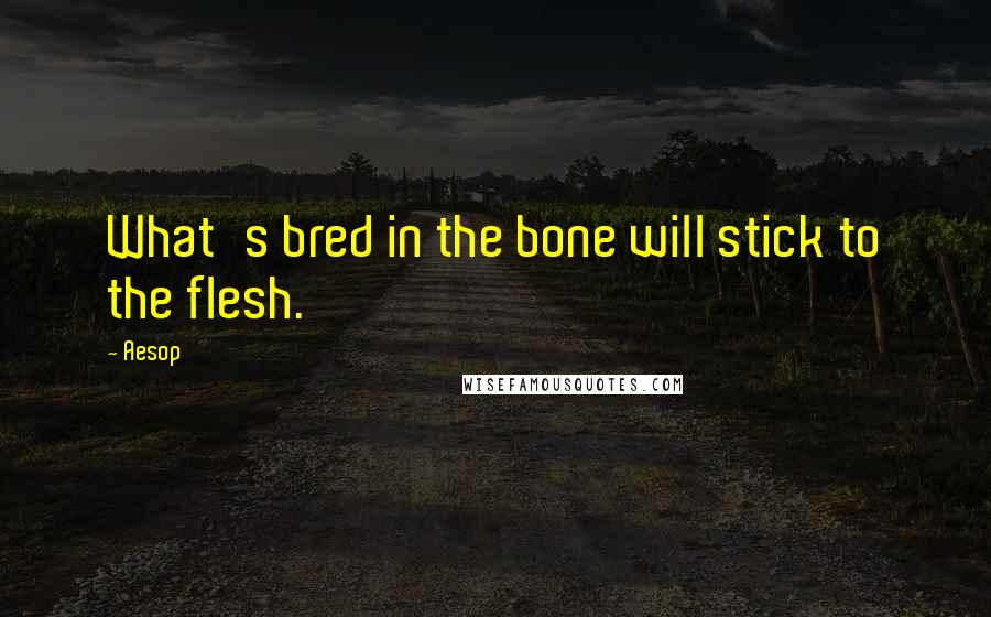 Aesop Quotes: What's bred in the bone will stick to the flesh.