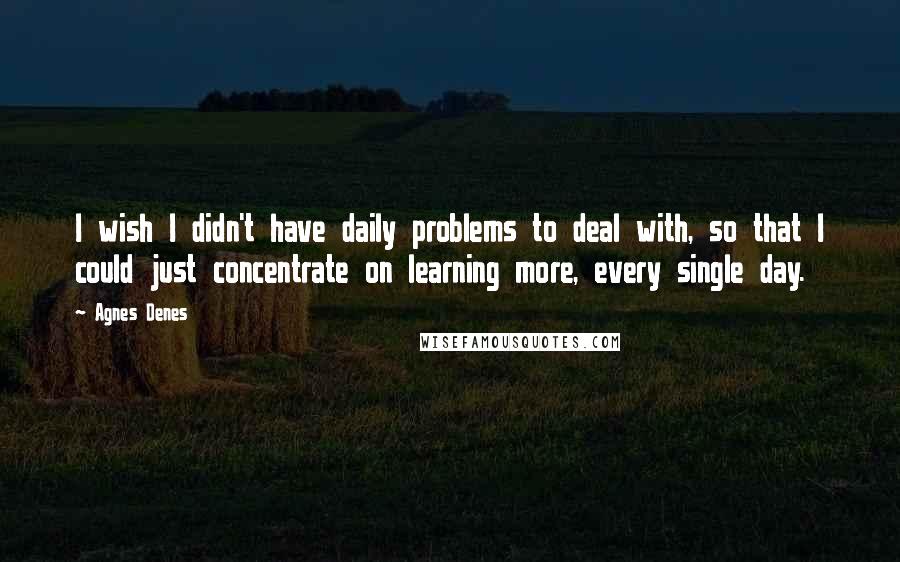 Agnes Denes Quotes: I wish I didn't have daily problems to deal with, so that I could just concentrate on learning more, every single day.