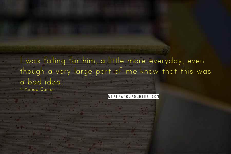 Aimee Carter Quotes: I was falling for him, a little more everyday, even though a very large part of me knew that this was a bad idea.