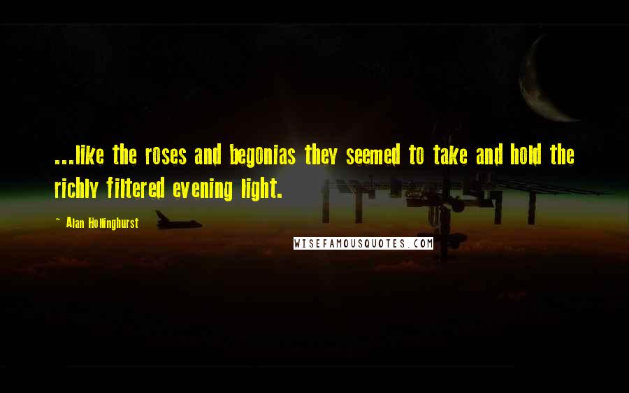 Alan Hollinghurst Quotes: ...like the roses and begonias they seemed to take and hold the richly filtered evening light.