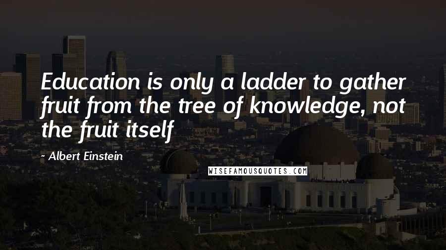 Albert Einstein Quotes: Education is only a ladder to gather fruit from the tree of knowledge, not the fruit itself