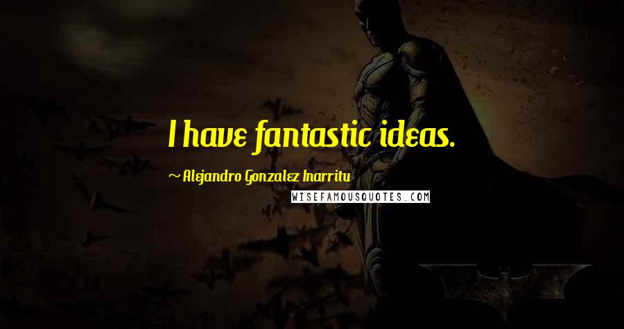 Alejandro Gonzalez Inarritu Quotes: I have fantastic ideas.