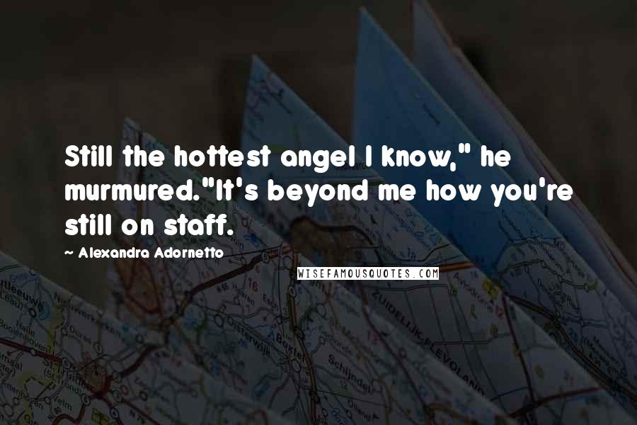 Alexandra Adornetto Quotes: Still the hottest angel I know," he murmured."It's beyond me how you're still on staff.