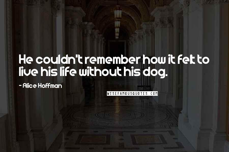 Alice Hoffman Quotes: He couldn't remember how it felt to live his life without his dog.