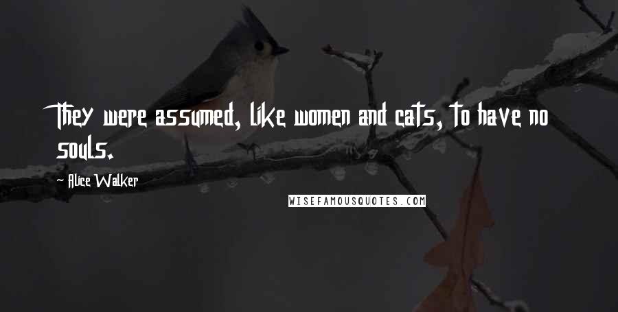 Alice Walker Quotes: They were assumed, like women and cats, to have no souls.