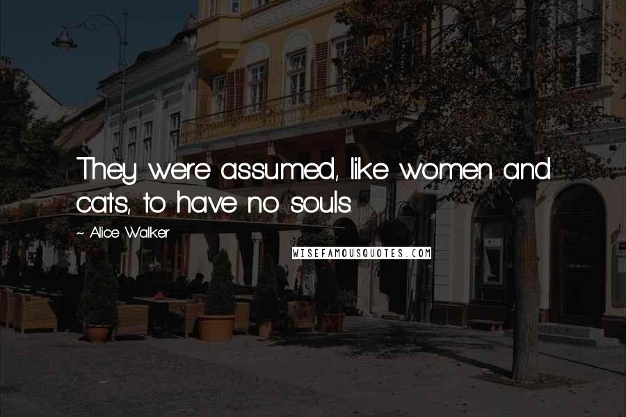 Alice Walker Quotes: They were assumed, like women and cats, to have no souls.