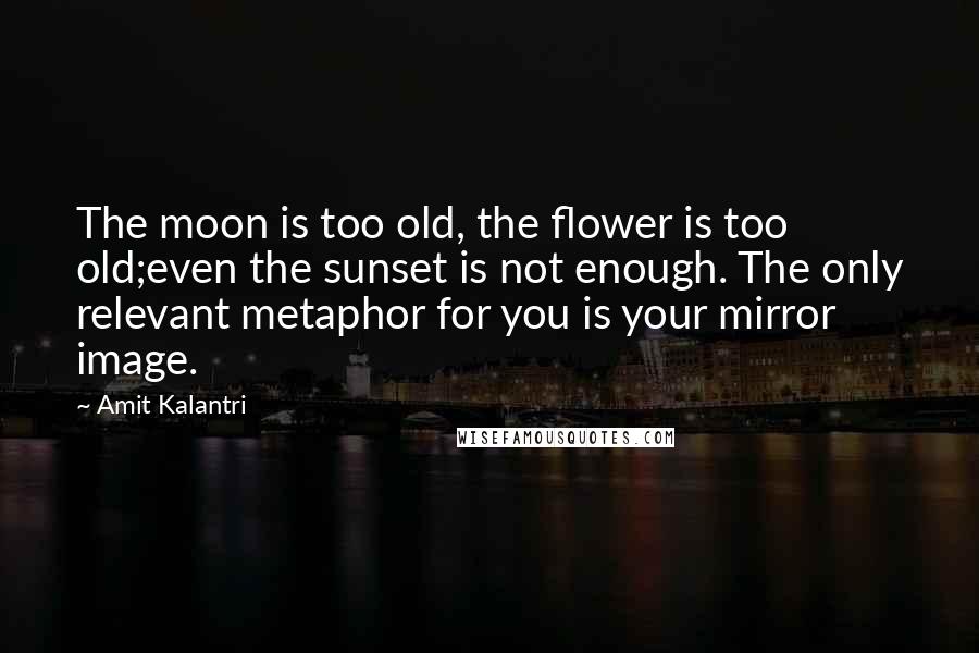 Amit Kalantri Quotes: The moon is too old, the flower is too old;even the sunset is not enough. The only relevant metaphor for you is your mirror image.