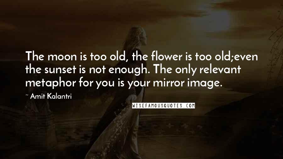 Amit Kalantri Quotes: The moon is too old, the flower is too old;even the sunset is not enough. The only relevant metaphor for you is your mirror image.