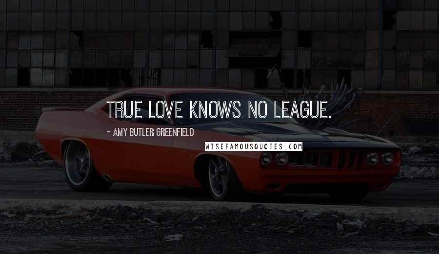 Amy Butler Greenfield Quotes: True love knows no league.