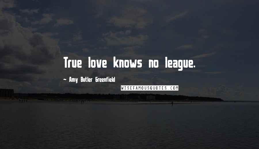 Amy Butler Greenfield Quotes: True love knows no league.