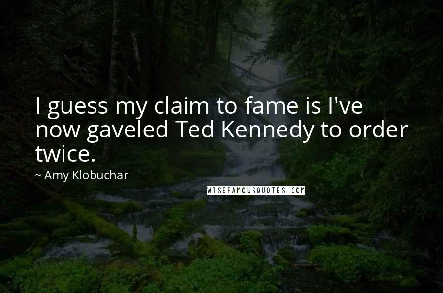 Amy Klobuchar Quotes: I guess my claim to fame is I've now gaveled Ted Kennedy to order twice.