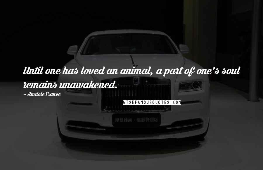 Anatole France Quotes: Until one has loved an animal, a part of one's soul remains unawakened.