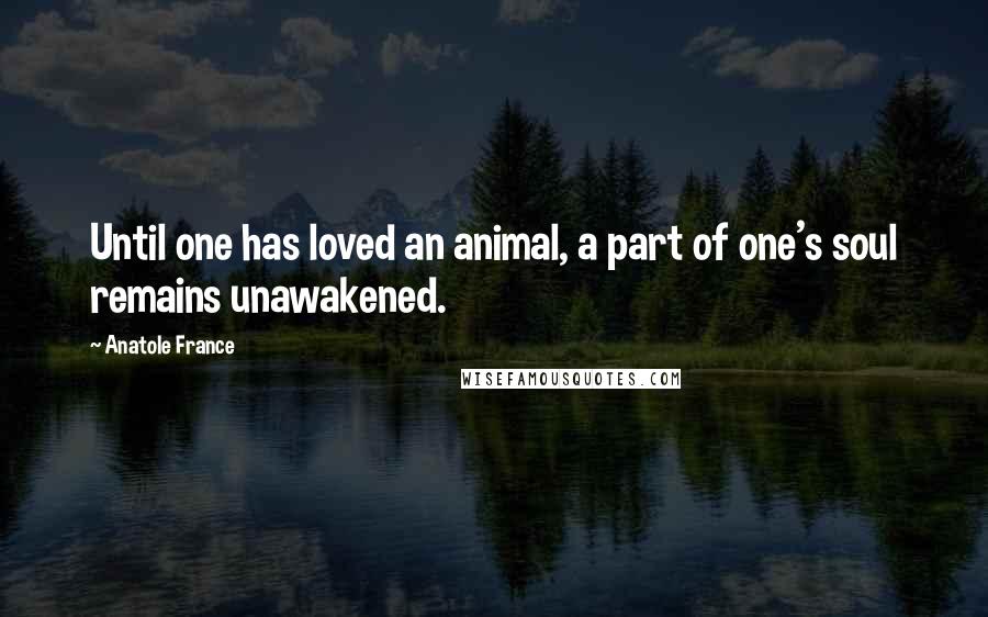 Anatole France Quotes: Until one has loved an animal, a part of one's soul remains unawakened.