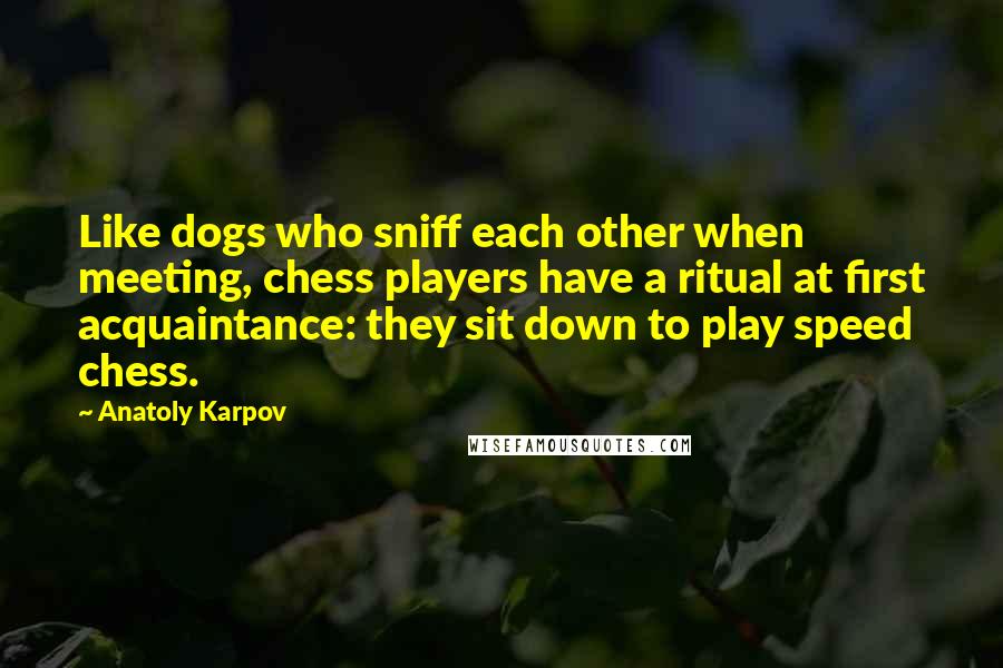 Anatoly Karpov Quotes: Like dogs who sniff each other when meeting, chess players have a ritual at first acquaintance: they sit down to play speed chess.