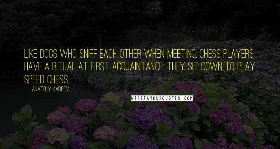 Anatoly Karpov Quotes: Like dogs who sniff each other when meeting, chess players have a ritual at first acquaintance: they sit down to play speed chess.