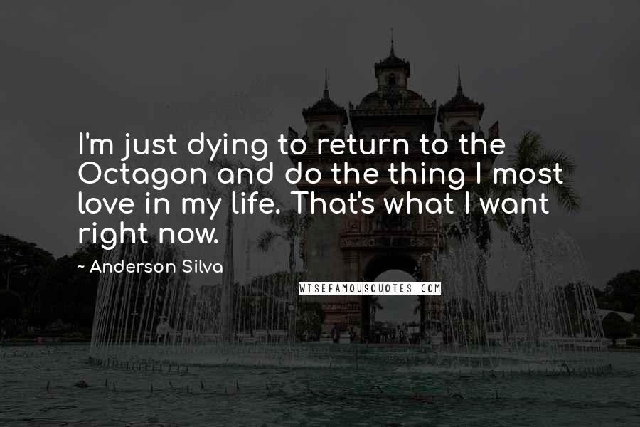 Anderson Silva Quotes: I'm just dying to return to the Octagon and do the thing I most love in my life. That's what I want right now.