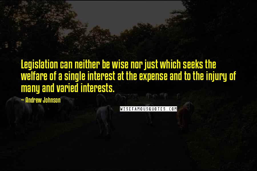 Andrew Johnson Quotes: Legislation can neither be wise nor just which seeks the welfare of a single interest at the expense and to the injury of many and varied interests.