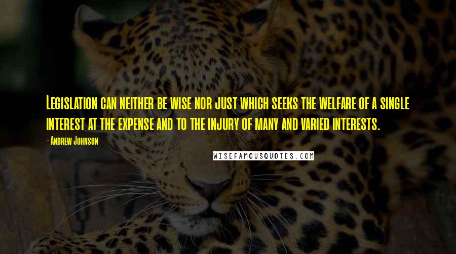 Andrew Johnson Quotes: Legislation can neither be wise nor just which seeks the welfare of a single interest at the expense and to the injury of many and varied interests.