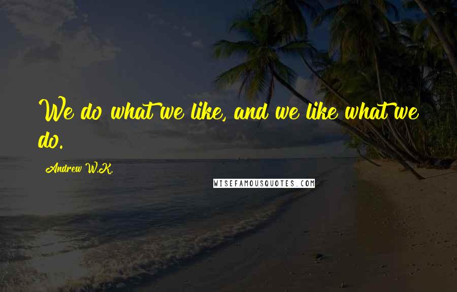 Andrew W.K. Quotes: We do what we like, and we like what we do.