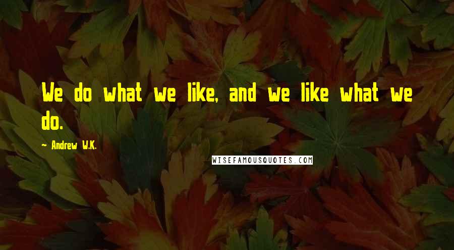 Andrew W.K. Quotes: We do what we like, and we like what we do.