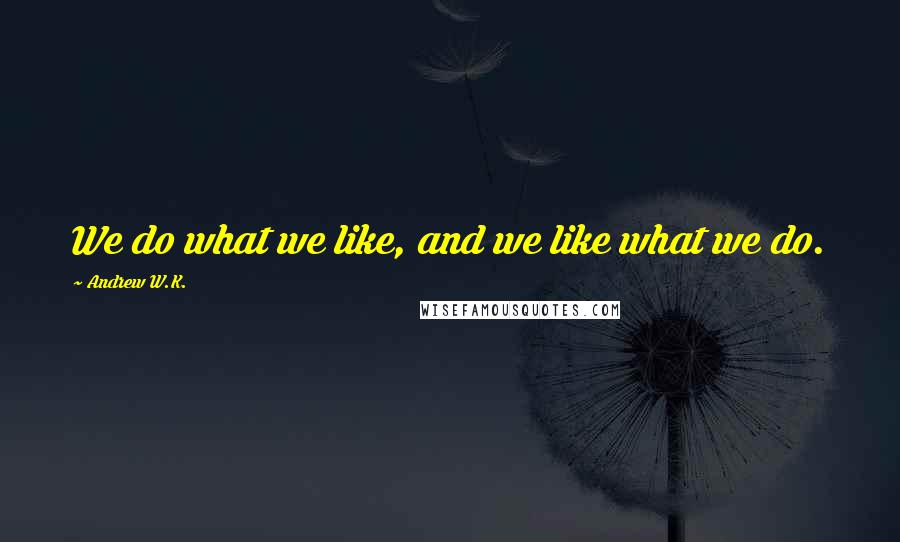 Andrew W.K. Quotes: We do what we like, and we like what we do.