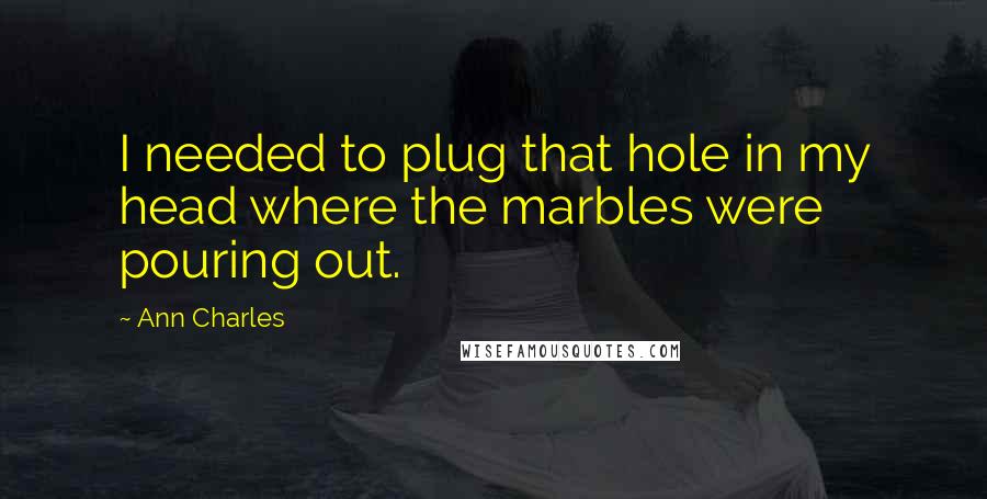 Ann Charles Quotes: I needed to plug that hole in my head where the marbles were pouring out.