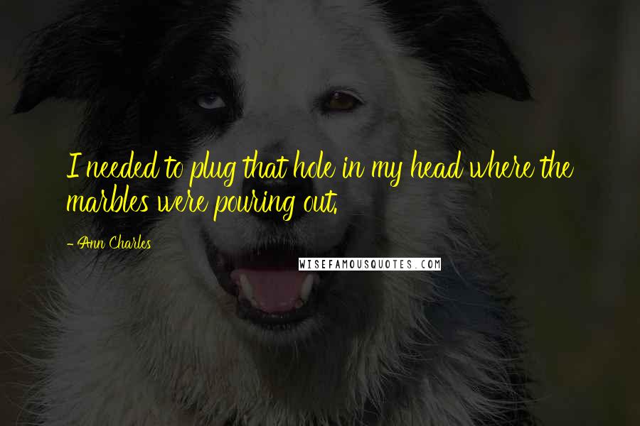 Ann Charles Quotes: I needed to plug that hole in my head where the marbles were pouring out.