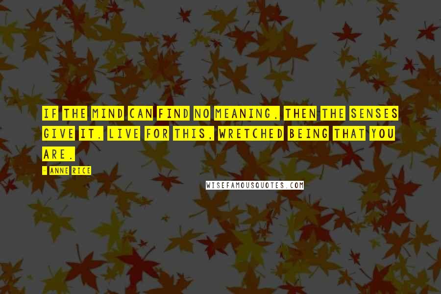 Anne Rice Quotes: If the mind can find no meaning, then the senses give it. Live for this, wretched being that you are.