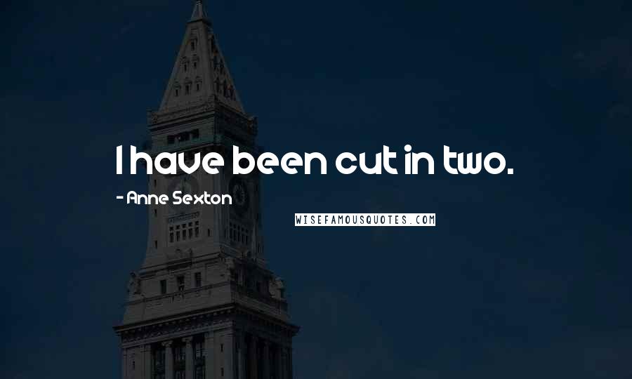 Anne Sexton Quotes: I have been cut in two.