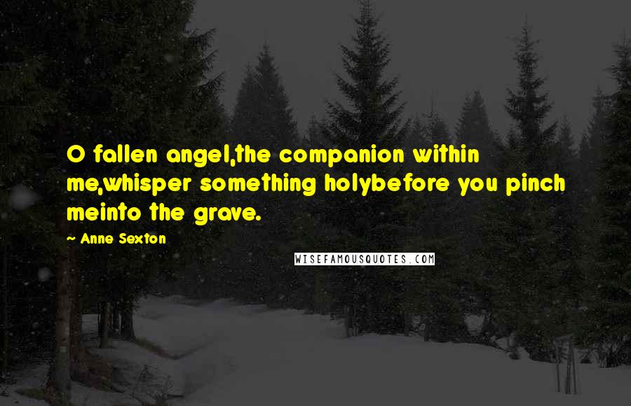 Anne Sexton Quotes: O fallen angel,the companion within me,whisper something holybefore you pinch meinto the grave.