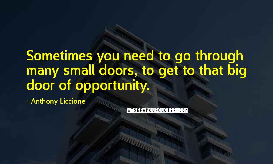 Anthony Liccione Quotes: Sometimes you need to go through many small doors, to get to that big door of opportunity.