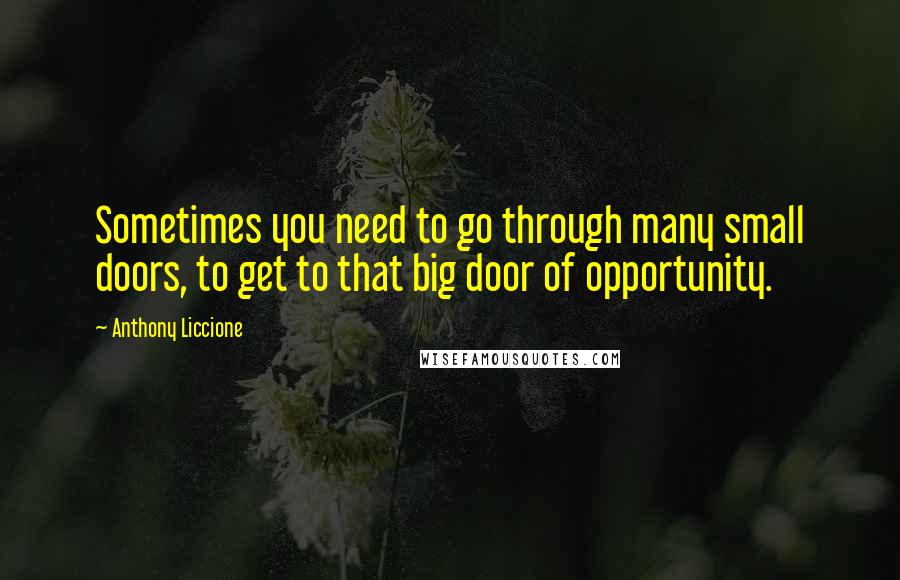 Anthony Liccione Quotes: Sometimes you need to go through many small doors, to get to that big door of opportunity.