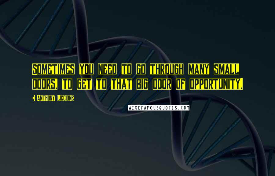 Anthony Liccione Quotes: Sometimes you need to go through many small doors, to get to that big door of opportunity.