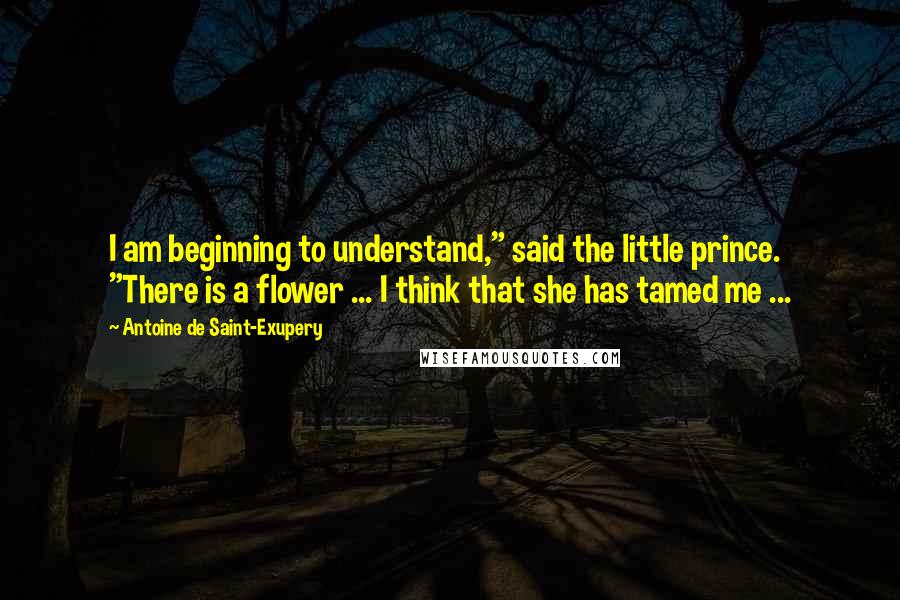 Antoine De Saint-Exupery Quotes: I am beginning to understand," said the little prince. "There is a flower ... I think that she has tamed me ...