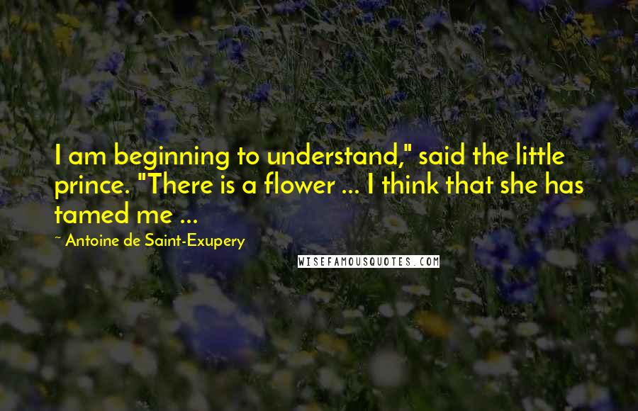 Antoine De Saint-Exupery Quotes: I am beginning to understand," said the little prince. "There is a flower ... I think that she has tamed me ...