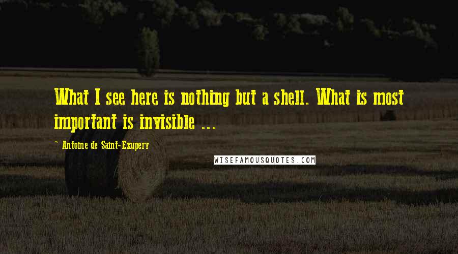 Antoine De Saint-Exupery Quotes: What I see here is nothing but a shell. What is most important is invisible ...