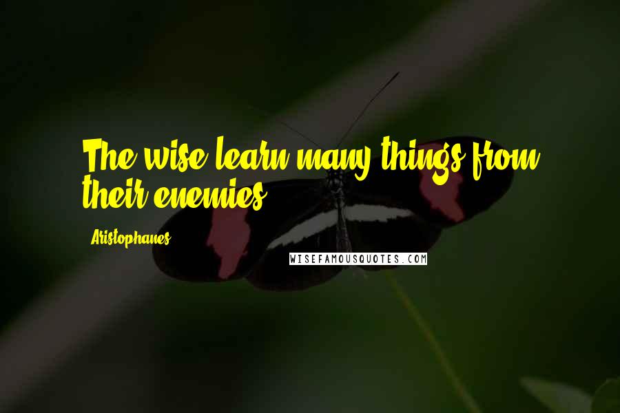 Aristophanes Quotes: The wise learn many things from their enemies.