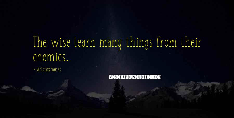 Aristophanes Quotes: The wise learn many things from their enemies.