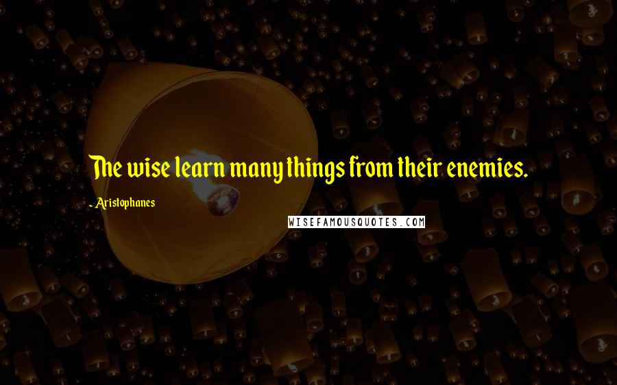 Aristophanes Quotes: The wise learn many things from their enemies.