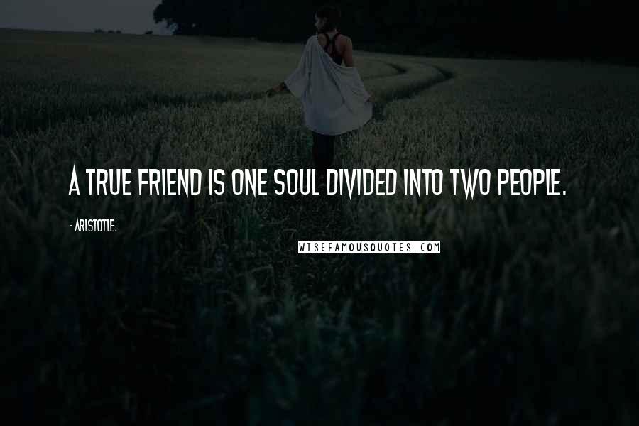 Aristotle. Quotes: A true friend is one soul divided into two people.