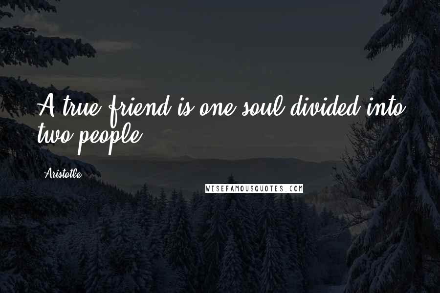 Aristotle. Quotes: A true friend is one soul divided into two people.