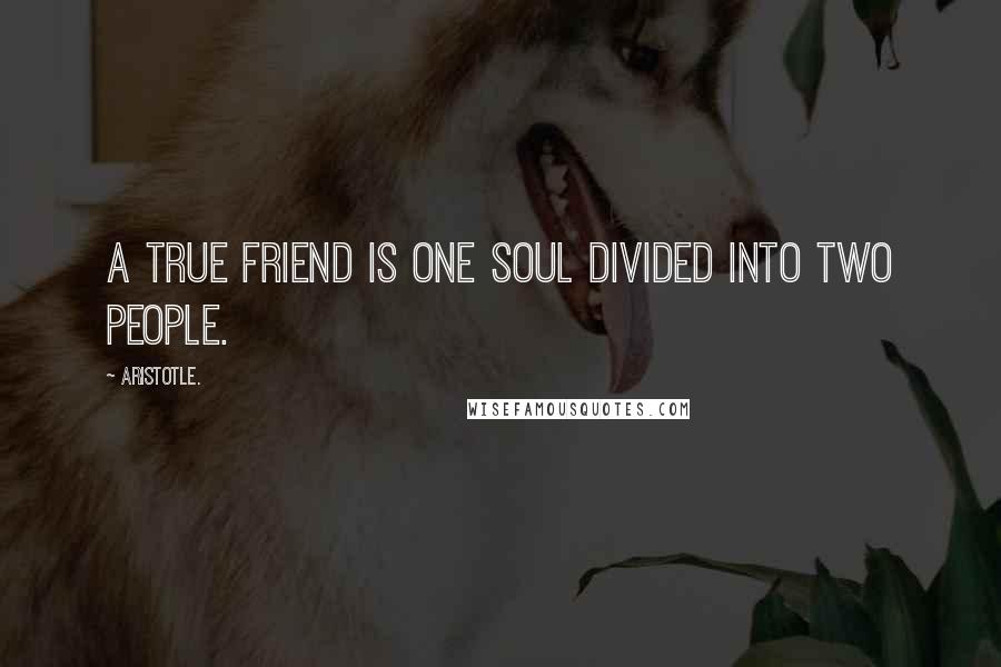 Aristotle. Quotes: A true friend is one soul divided into two people.