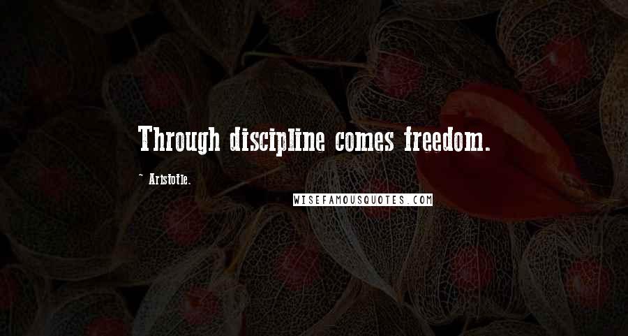 Aristotle. Quotes: Through discipline comes freedom.