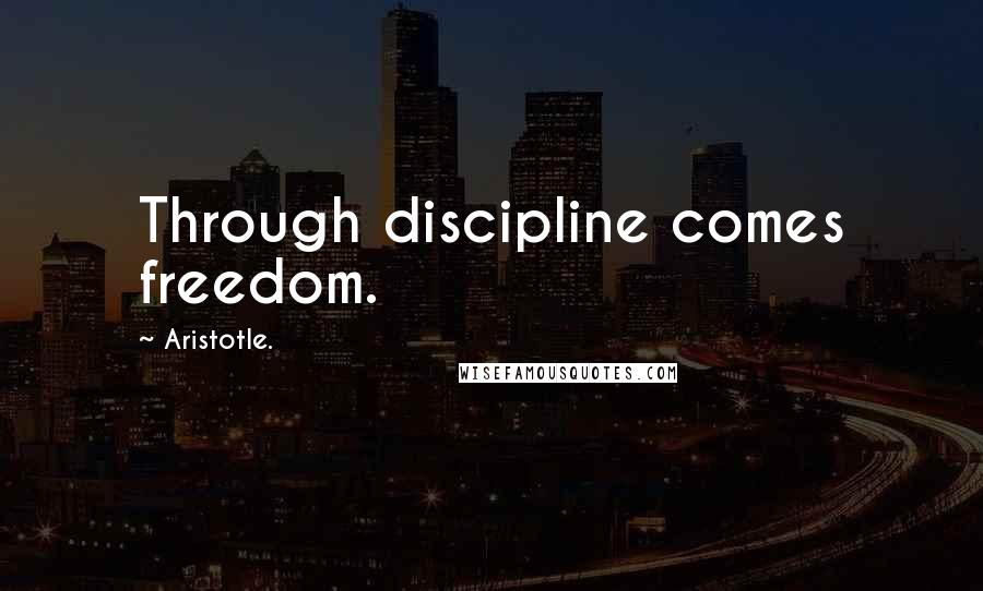 Aristotle. Quotes: Through discipline comes freedom.