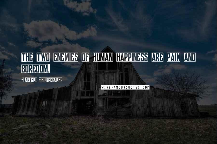 Arthur Schopenhauer Quotes: The two enemies of human happiness are pain and boredom.