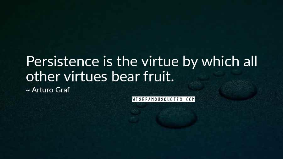 Arturo Graf Quotes: Persistence is the virtue by which all other virtues bear fruit.